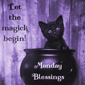 Meet your Posher, Jranette